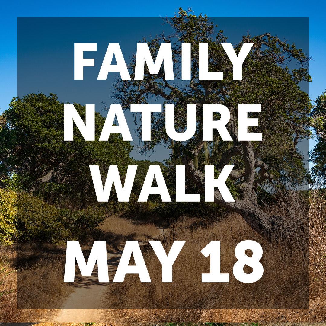 Family Nature Walk